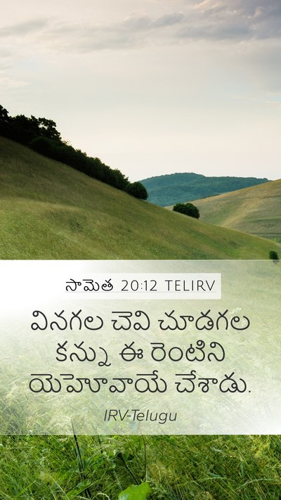 సామెత 20:12 TELIRV Bible Verse Image