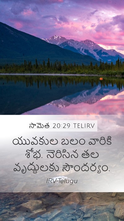 సామెత 20:29 TELIRV Bible Verse Image