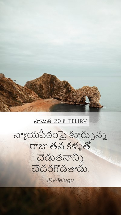 సామెత 20:8 TELIRV Bible Verse Image