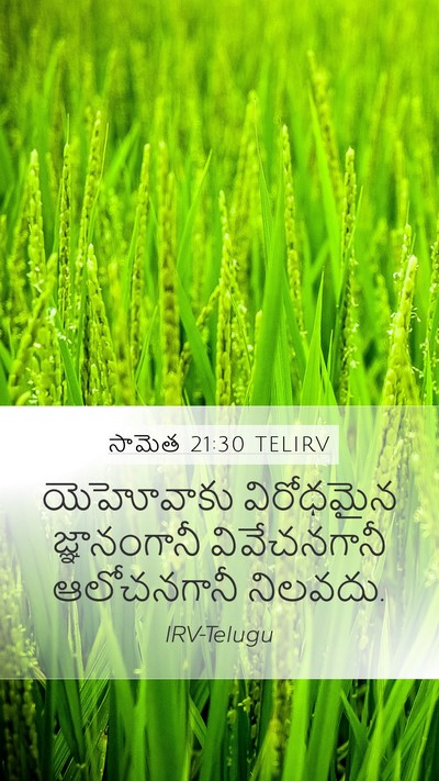 సామెత 21:30 TELIRV Bible Verse Image