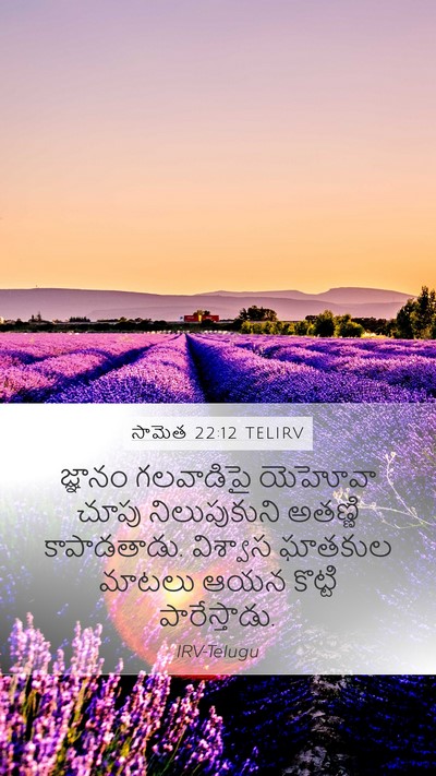 సామెత 22:12 TELIRV Mobile Phone Wallpaper - జ్ఞానం గలవాడిపై - Mobile Bible Verse Wallpaper