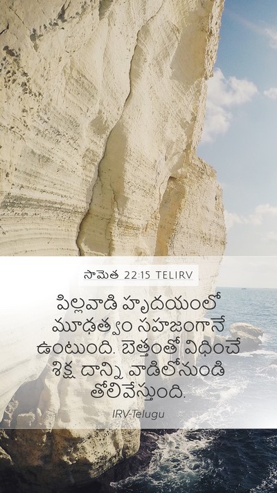 సామెత 22:15 TELIRV Bible Verse Image