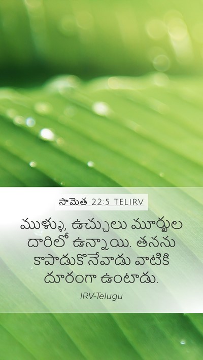 సామెత 22:5 TELIRV Bible Verse Image