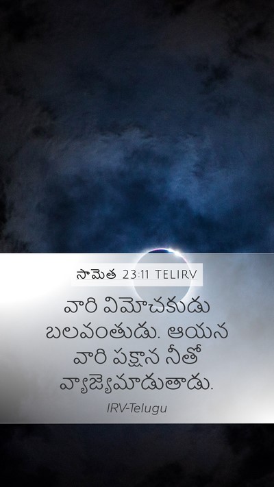 సామెత 23:11 TELIRV Bible Verse Image