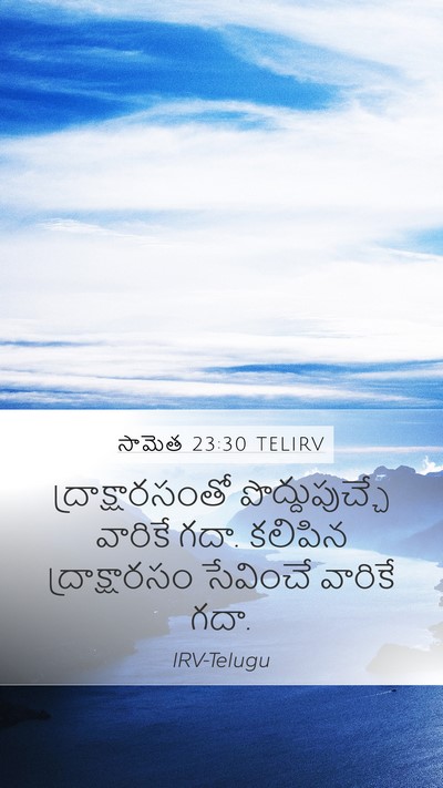 సామెత 23:30 TELIRV Bible Verse Image