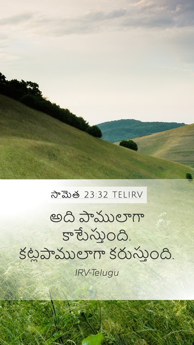 సామెత 23:32 TELIRV Bible Verse Image