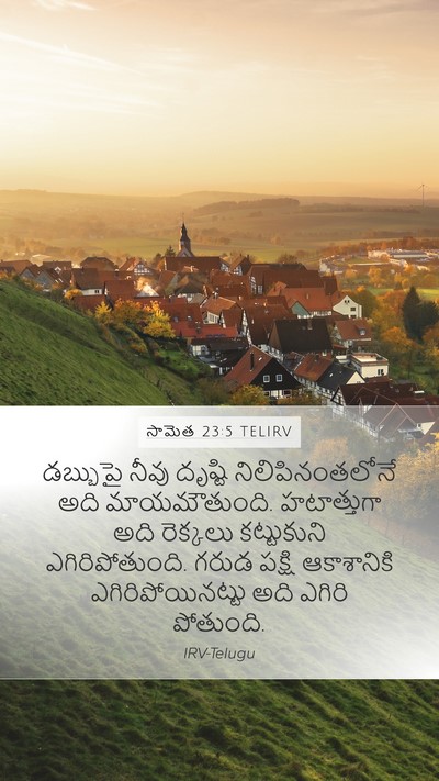 సామెత 23:5 TELIRV Bible Verse Image