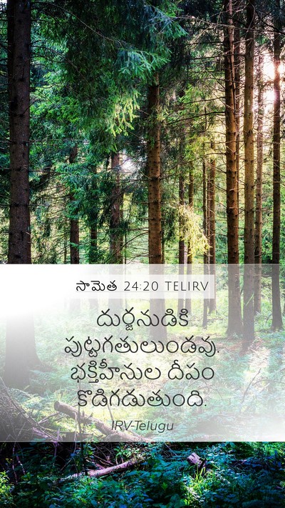 సామెత 24:20 TELIRV Bible Verse Image