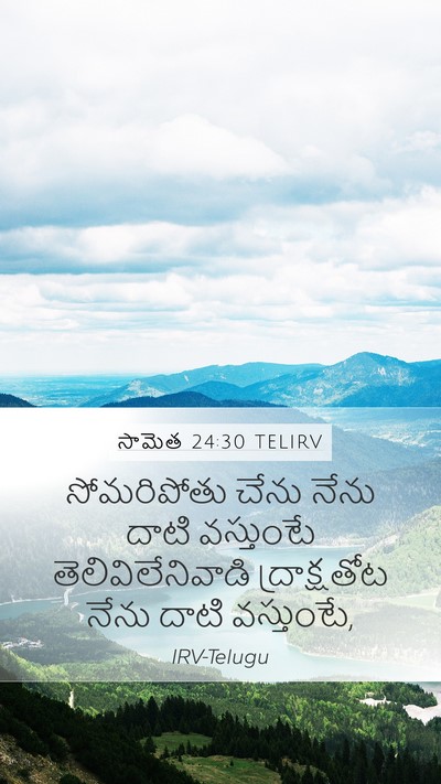 సామెత 24:30 TELIRV Bible Verse Image