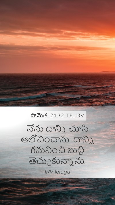 సామెత 24:32 TELIRV Mobile Phone Wallpaper - నేను దాన్ని చూసి - Mobile Bible Verse Wallpaper