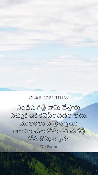 సామెత 27:25 TELIRV Mobile Phone Wallpaper - ఎండిన గడ్డి వామి - Mobile Bible Verse Wallpaper