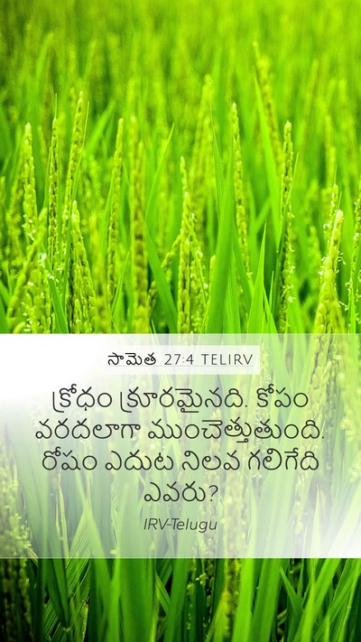 సామెత 27:4 TELIRV Bible Verse Image