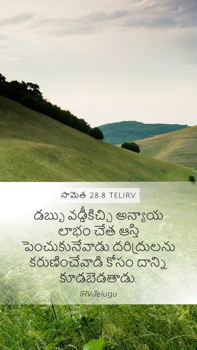 సామెత 28:8 TELIRV Bible Verse Image