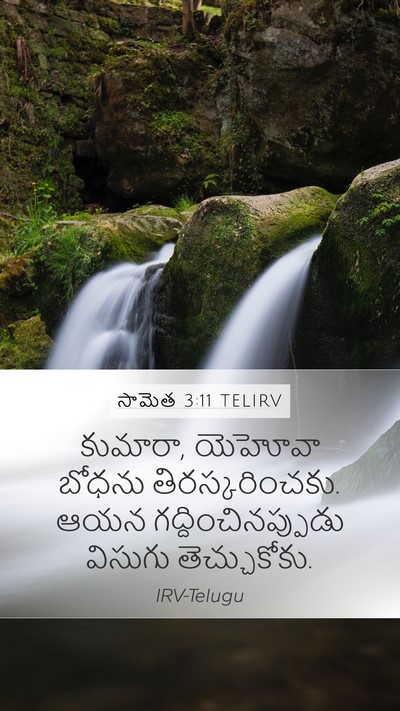 సామెత 3:11 TELIRV Bible Verse Image