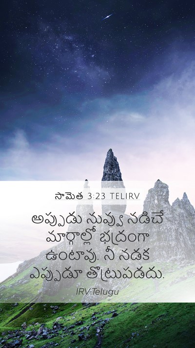 సామెత 3:23 TELIRV Bible Verse Image