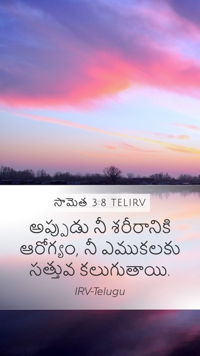 సామెత 3:8 TELIRV Mobile Phone Wallpaper - అప్పుడు నీ - Mobile Bible Verse Wallpaper