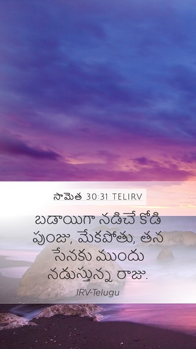 సామెత 30:31 TELIRV Bible Verse Image