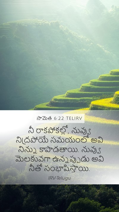 సామెత 6:22 TELIRV Bible Verse Image