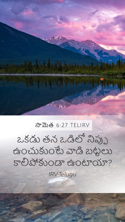 సామెత 6:27 TELIRV Mobile Phone Wallpaper - ఒకడు తన ఒడిలో - Mobile Bible Verse Wallpaper