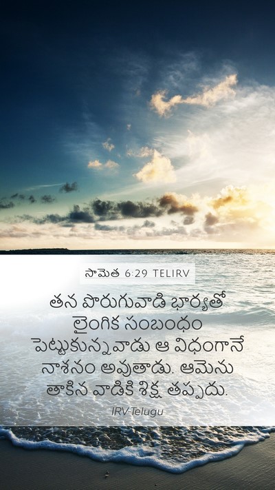 సామెత 6:29 TELIRV Bible Verse Image