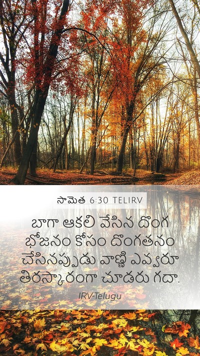 సామెత 6:30 TELIRV Bible Verse Image