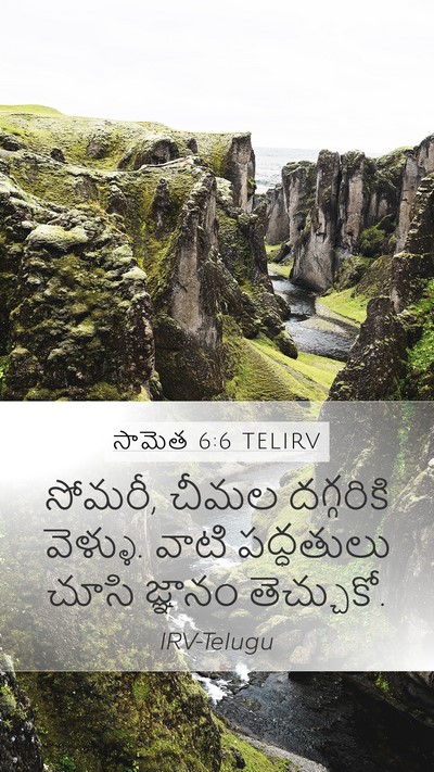 సామెత 6:6 TELIRV Bible Verse Image