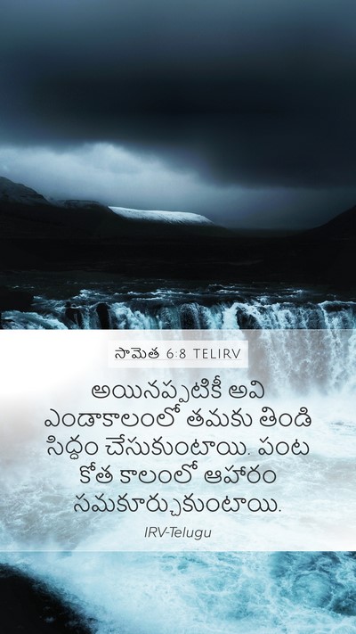 సామెత 6:8 TELIRV Bible Verse Image