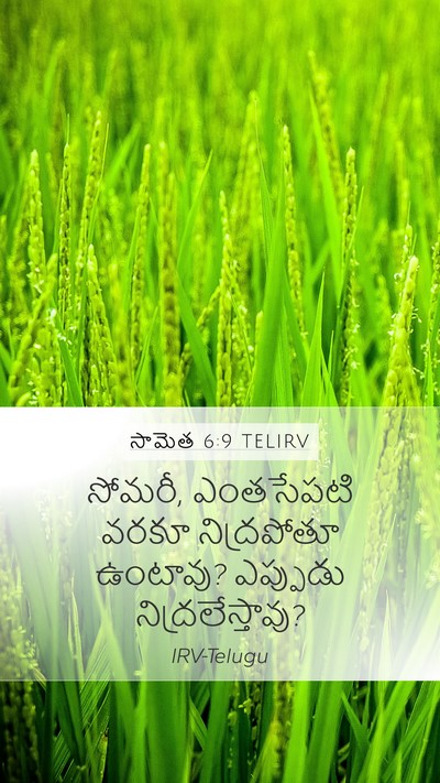 సామెత 6:9 TELIRV Bible Verse Image