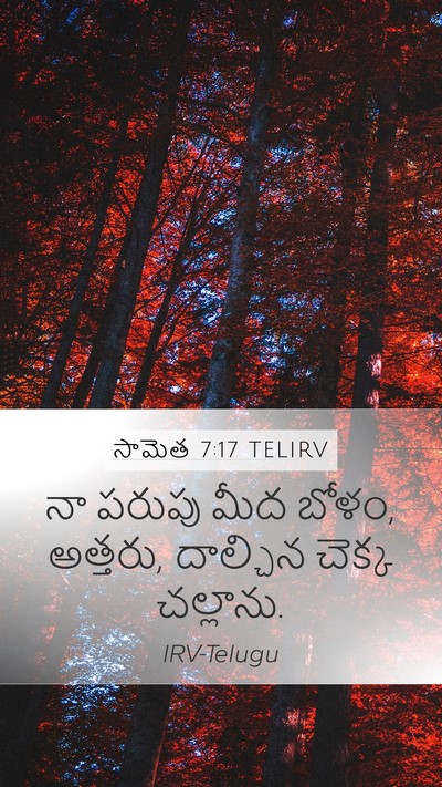 సామెత 7:17 TELIRV Mobile Phone Wallpaper - నా పరుపు మీద బోళం, - Mobile Bible Verse Wallpaper