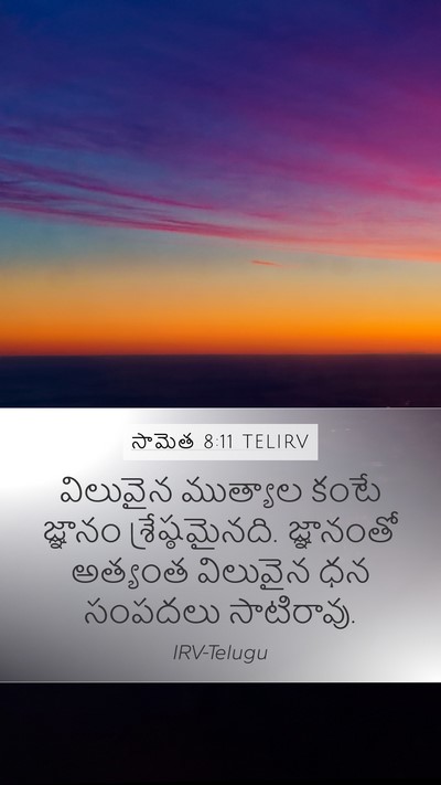 సామెత 8:11 TELIRV Bible Verse Image
