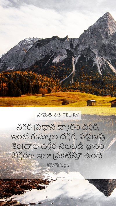సామెత 8:3 TELIRV Mobile Phone Wallpaper - నగర ప్రధాన ద్వారం - Mobile Bible Verse Wallpaper