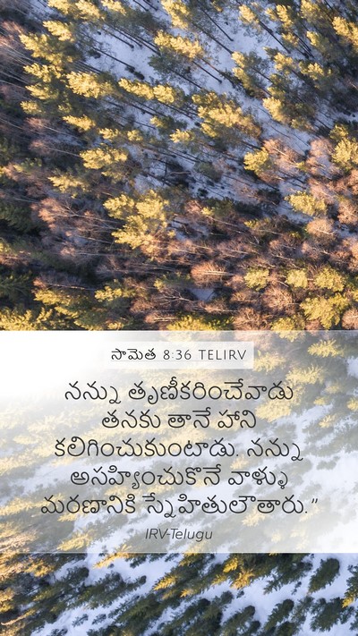 సామెత 8:36 TELIRV Bible Verse Image