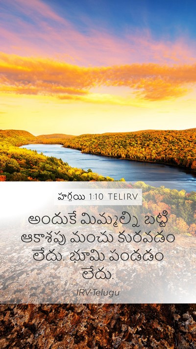 హగ్గయి 1:10 TELIRV Bible Verse Image