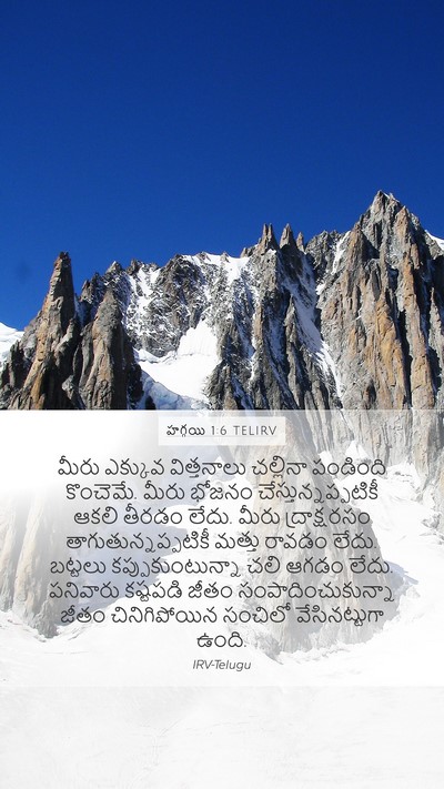 హగ్గయి 1:6 TELIRV Bible Verse Image