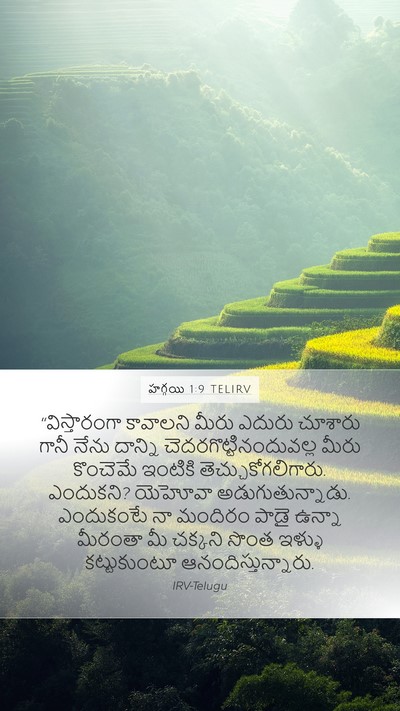 హగ్గయి 1:9 TELIRV Bible Verse Image