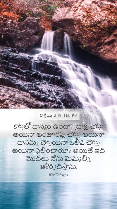 హగ్గయి 2:19 TELIRV Bible Verse Image