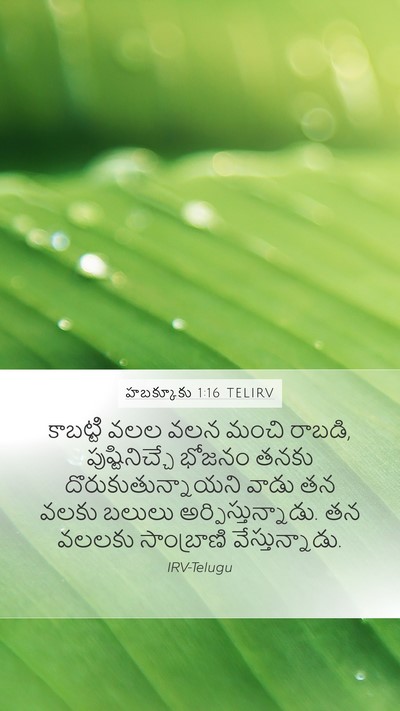 హబక్కూకు 1:16 TELIRV Bible Verse Image