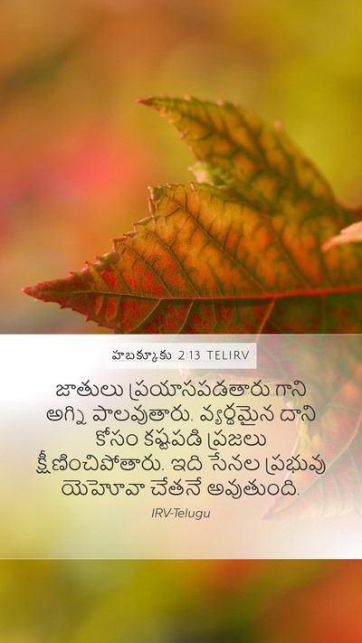 హబక్కూకు 2:13 TELIRV Bible Verse Image