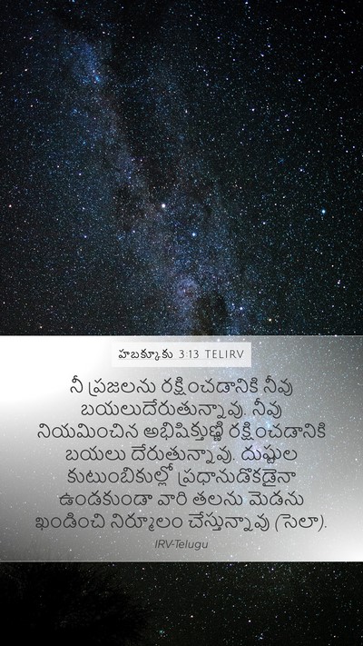 హబక్కూకు 3:13 TELIRV Bible Verse Image