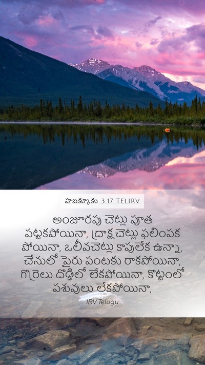 హబక్కూకు 3:17 TELIRV Bible Verse Image