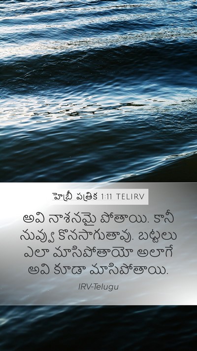 హెబ్రీ పత్రిక 1:11 TELIRV Bible Verse Image