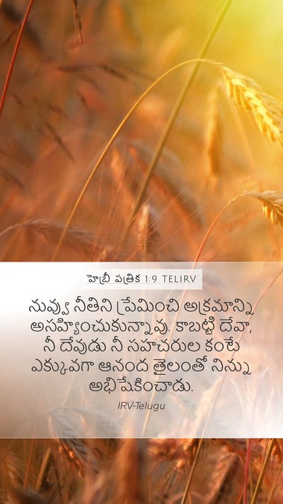 హెబ్రీ పత్రిక 1:9 TELIRV Bible Verse Image