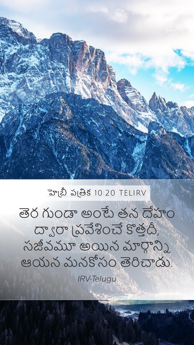 హెబ్రీ పత్రిక 10:20 TELIRV Bible Verse Image