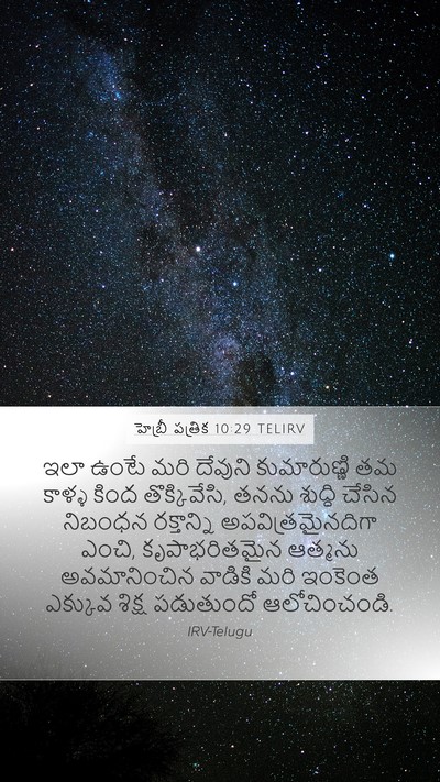 హెబ్రీ పత్రిక 10:29 TELIRV Bible Verse Image