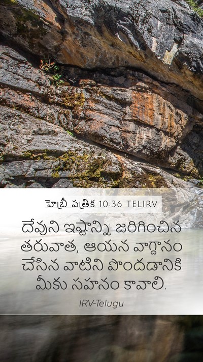 హెబ్రీ పత్రిక 10:36 TELIRV Bible Verse Image