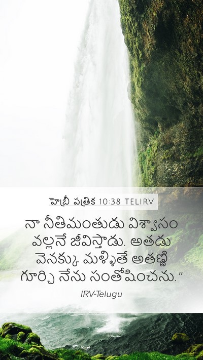 హెబ్రీ పత్రిక 10:38 TELIRV Bible Verse Image
