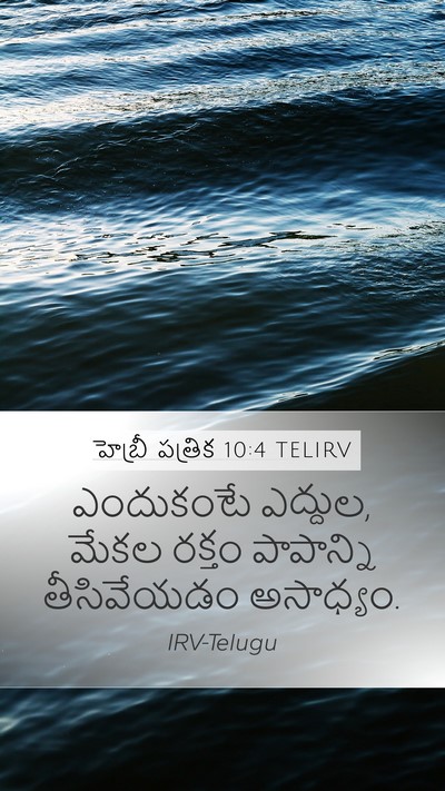 హెబ్రీ పత్రిక 10:4 TELIRV Bible Verse Image