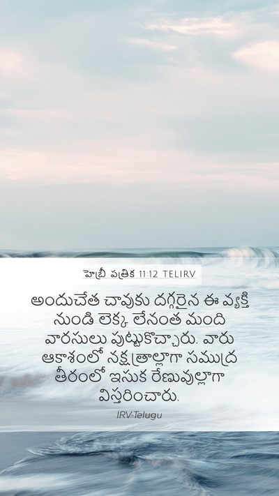 హెబ్రీ పత్రిక 11:12 TELIRV Mobile Phone Wallpaper - అందుచేత చావుకు - Mobile Bible Verse Wallpaper