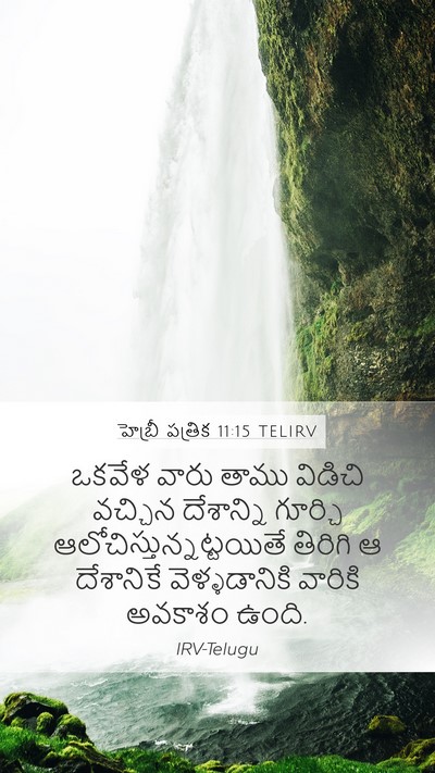 హెబ్రీ పత్రిక 11:15 TELIRV Bible Verse Image