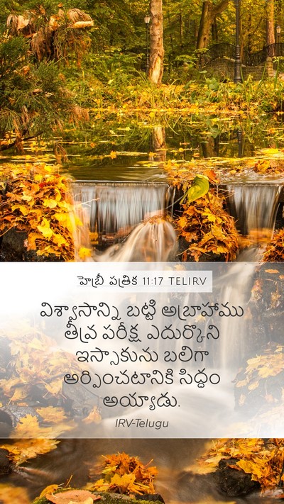 హెబ్రీ పత్రిక 11:17 TELIRV Bible Verse Image